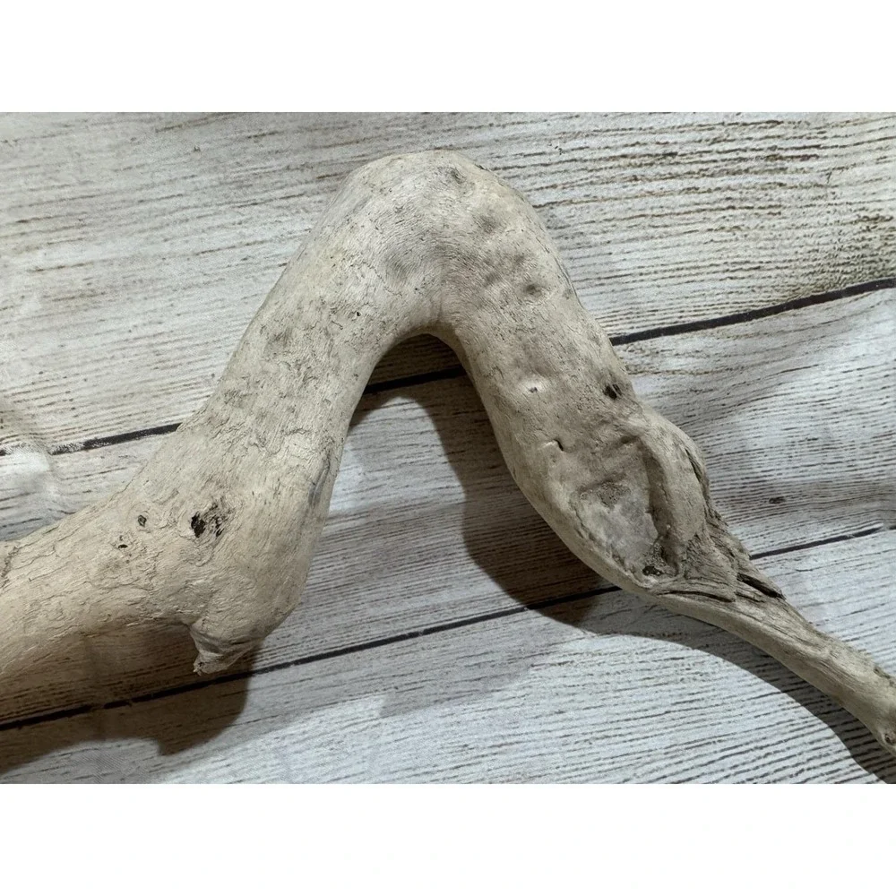 Vtg Piece of Driftwood that looks like a Dinosaur or Snake 17